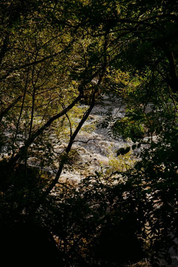 The Deerstone Luxury Eco Hideaway Villa Laragh Buitenkant foto