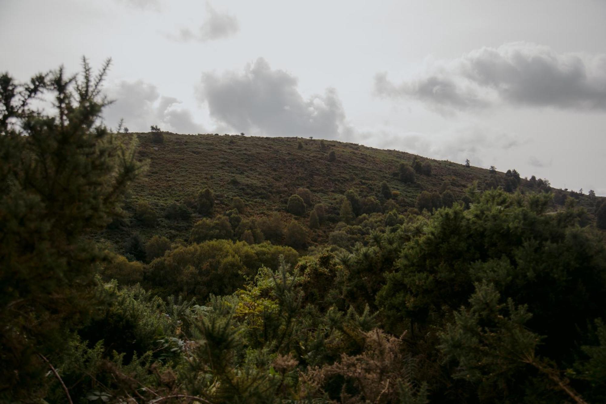 The Deerstone Luxury Eco Hideaway Villa Laragh Buitenkant foto