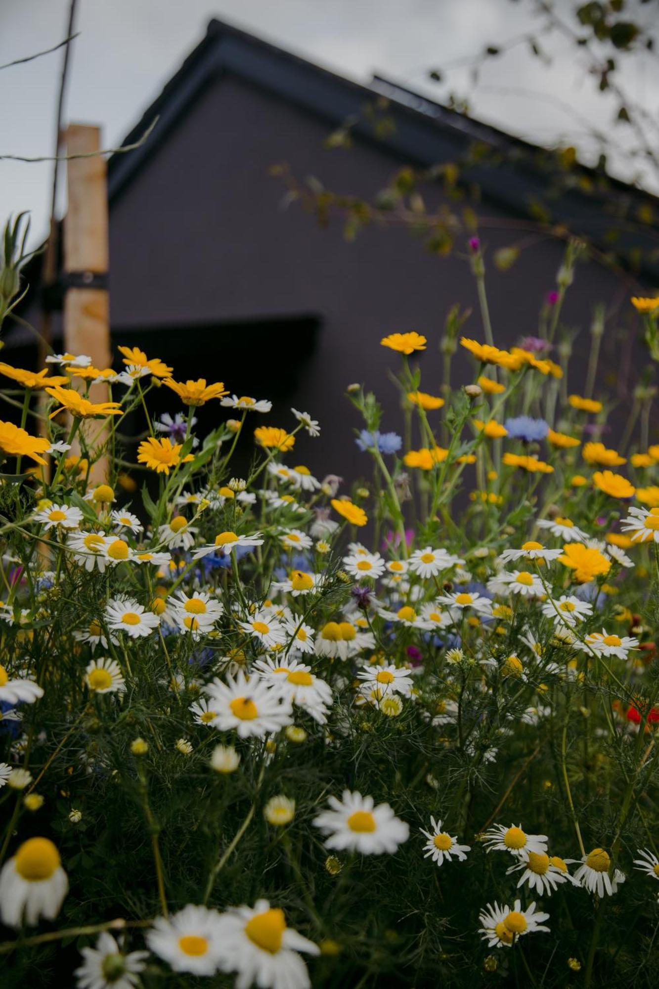 The Deerstone Luxury Eco Hideaway Villa Laragh Buitenkant foto
