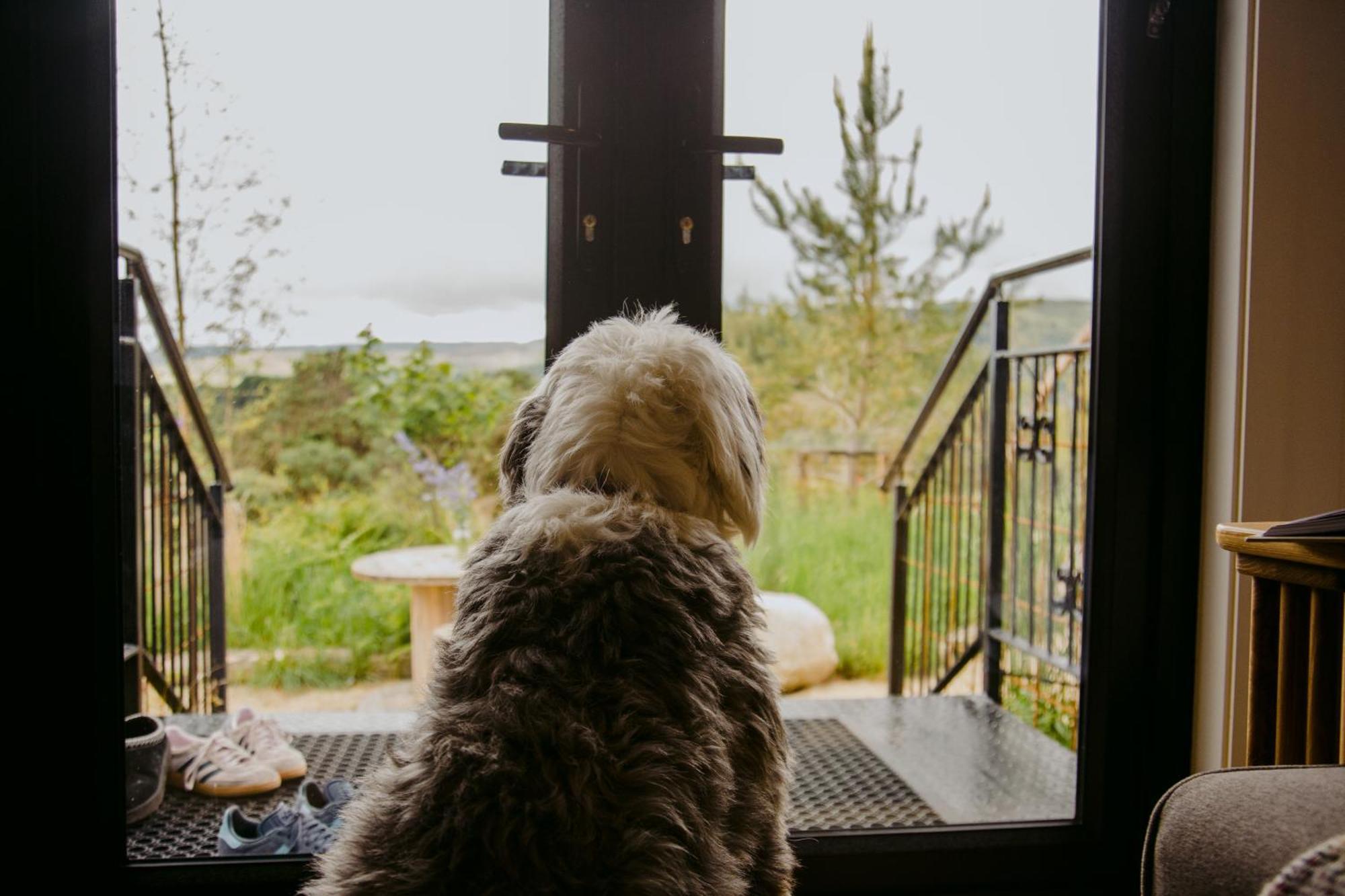 The Deerstone Luxury Eco Hideaway Villa Laragh Buitenkant foto